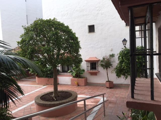 Apartmán Large And Elegant In Puerto Banus With Pools And Paddle Marbella Exteriér fotografie